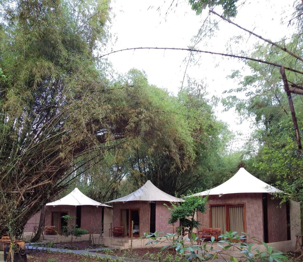 Jawa Jiwa G-Land Resort Dadapan Экстерьер фото