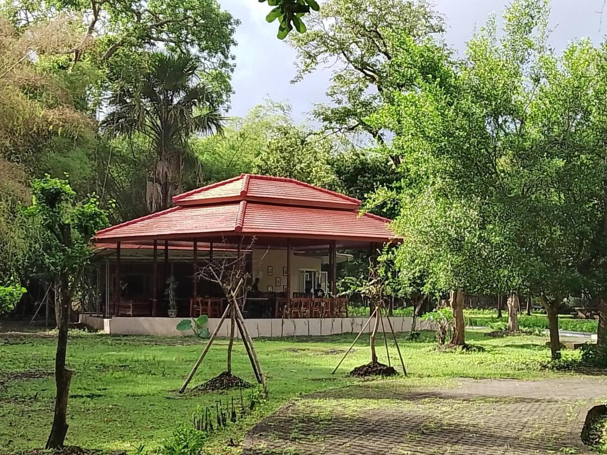 Jawa Jiwa G-Land Resort Dadapan Экстерьер фото