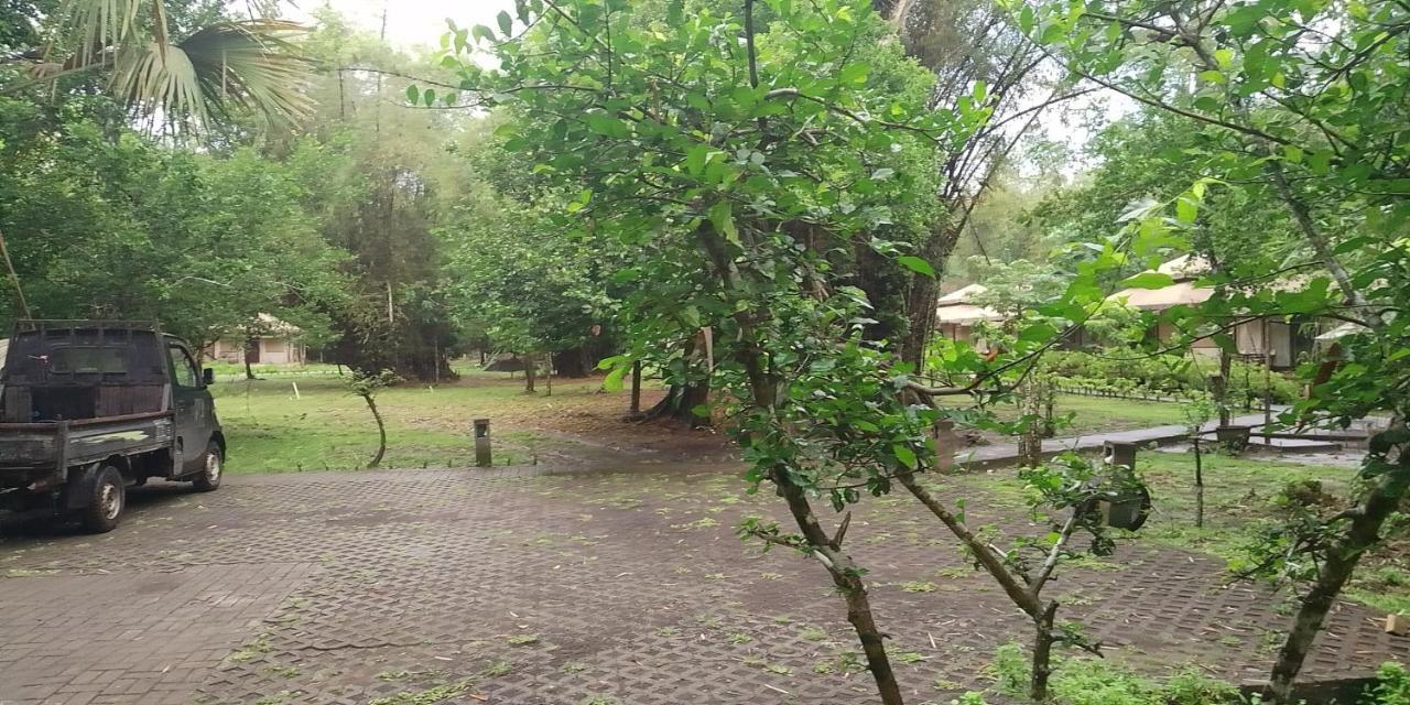 Jawa Jiwa G-Land Resort Dadapan Экстерьер фото